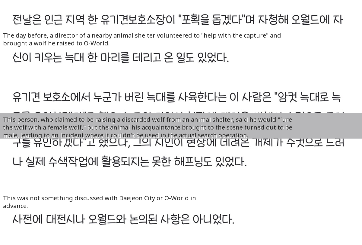 The Case of the 'Volunteering' Wolf: A Wild Twist in Korea's Viral Animal Search